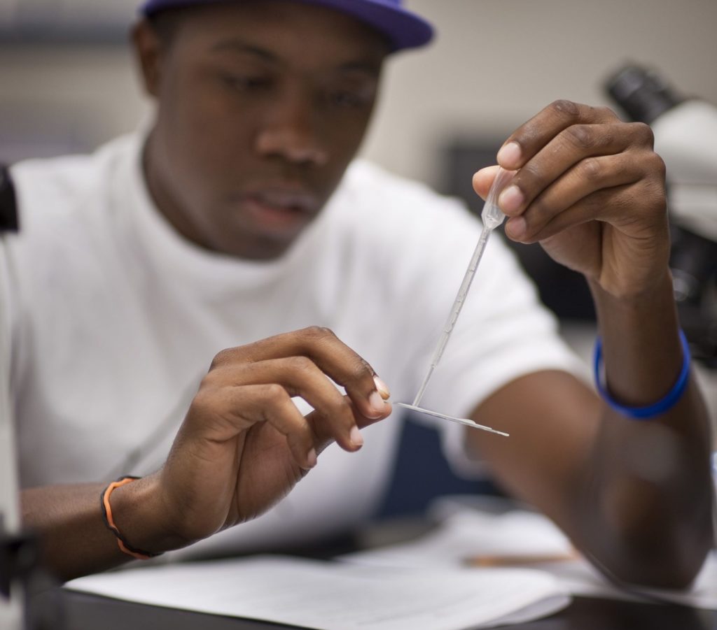 Close up of a student adding a solution to a slide using a pipet