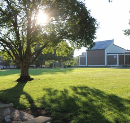 Sunlight breaking through the trees on the campus Quad.