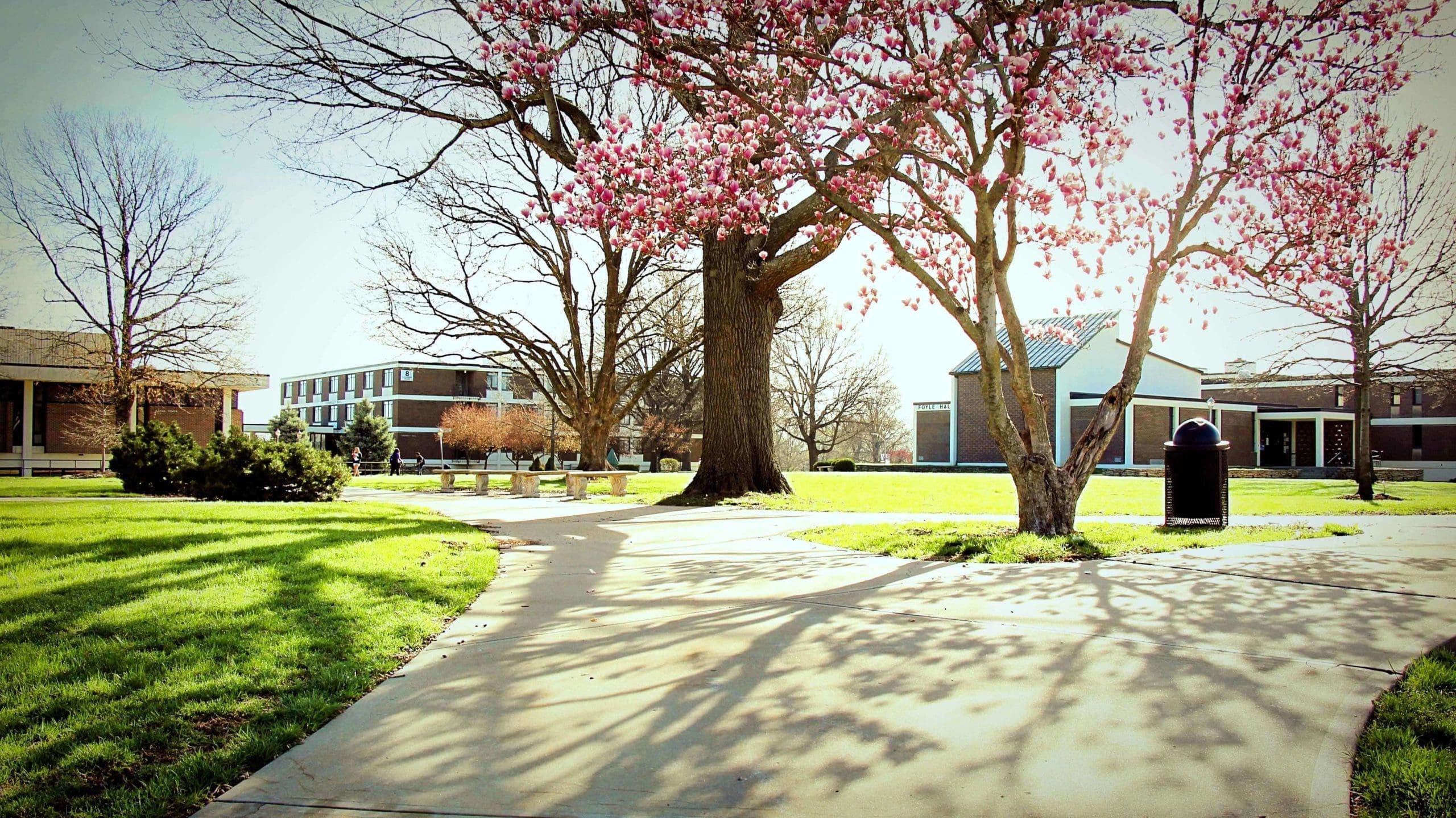 Long shadows stretch across the Quad