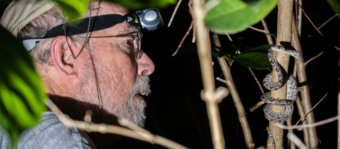 Dr. Robert Powell in the field inspecting a baby boa