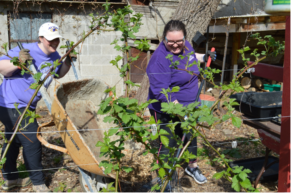 two students Mulching at Jerusalem Farm