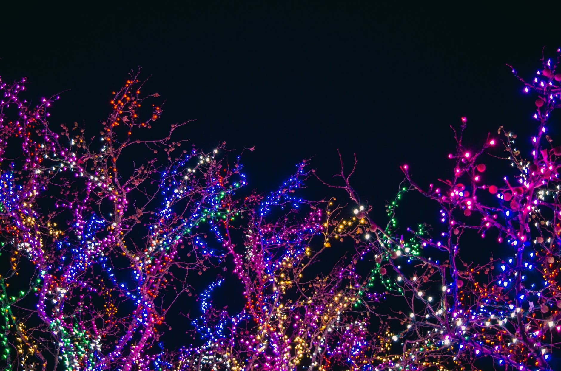 assorted color string lights