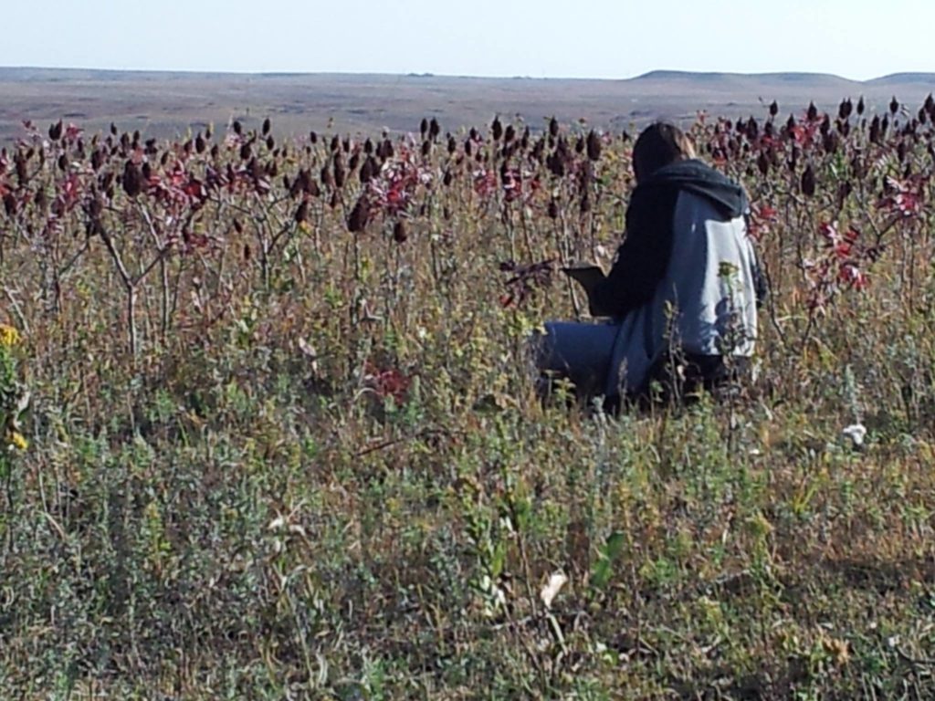 Konza Prairie Journaling